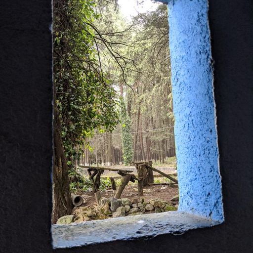 Anna's Record Room // 25-07-21