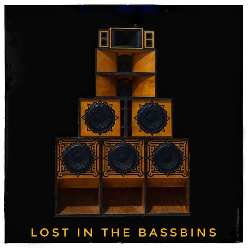 Lost in the Bassbins April21