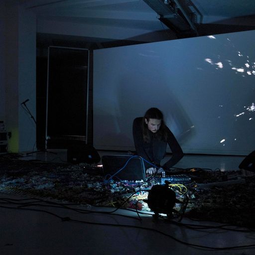 Signals 2 Noise : entere0001 w/body chamber 04.10.2024