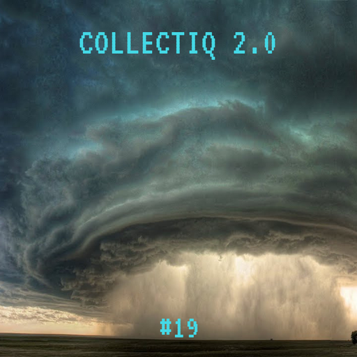 Collectiq 2.0 #19: Make Do