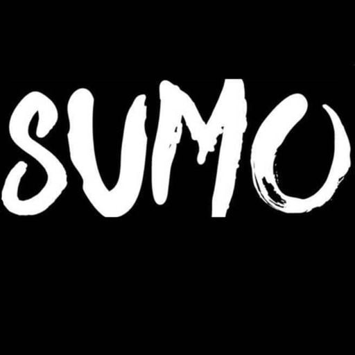 DJ SUMO - 30 Minutes of RnB Megamix
