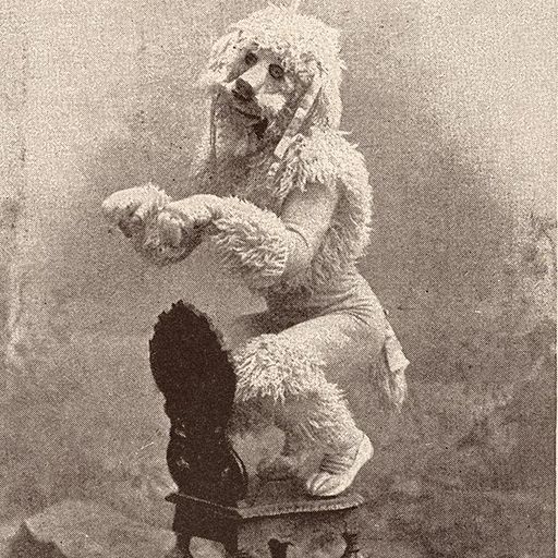 Funkydoolah - 4 The Music Exclusive - Back to Back with The Disco Deviant