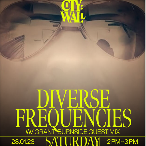 Diverse Frequencies /w Grant Burnside Guest Mix - 28/01/2023