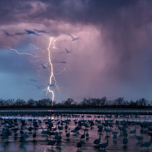 Spirit Walker (DeepGrooves)