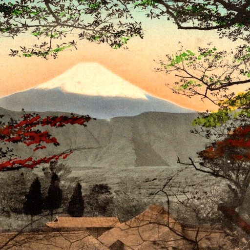 West Coast Fog: Peaceful Mountain - 7th January 2026