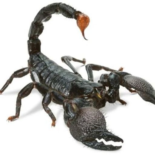 MixTape_EXX_by_FDS_20_03_2026