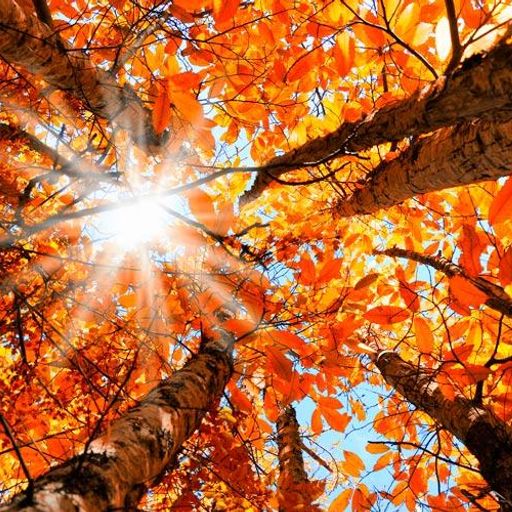 Radio Corona #76, Songs for September , 19th September 2021 רדיו קורונה