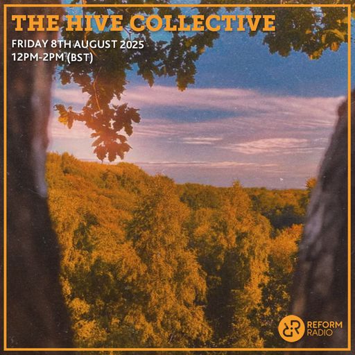 The Hive Collective 8th August 2025