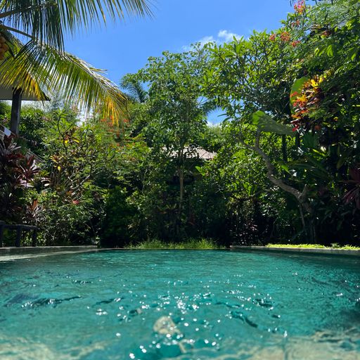 Pete Gooding DJ mix live in Bali (26.11.23)