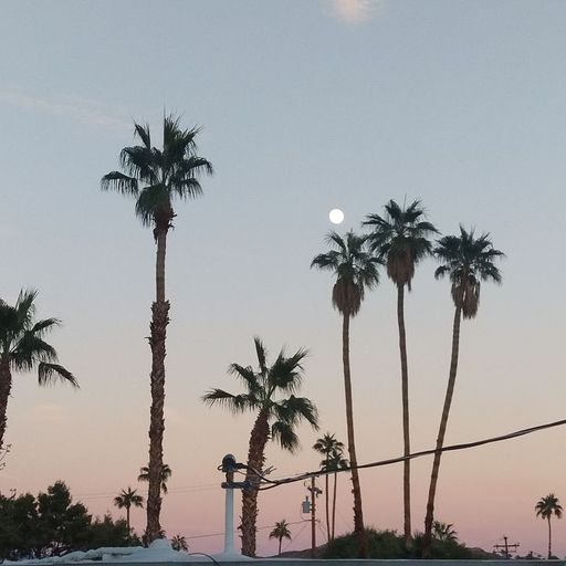 Prosumer - 25th November 2025