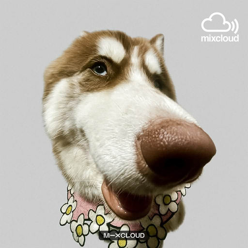 N.Nan M K K J H T L ʙʏ คนเล่นเขารู้กัน