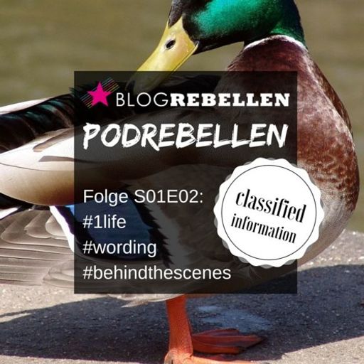 Der Podrebellen Podcast S01E02 "outdoor special" #1life #wording #behindthescenes