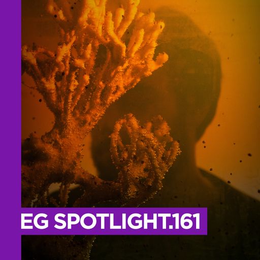 EG SPOTLIGHT.161 Täino