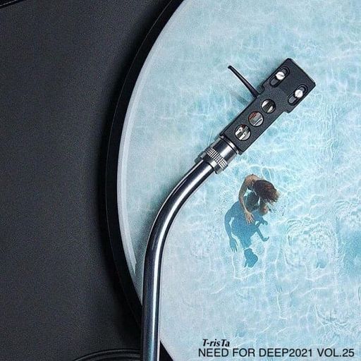 "New" Best Of Vocal Deep House & Chillout MIXTAPE | NEED FOR DEEP2021 Vol.25 Mixed by Dj T-risTa