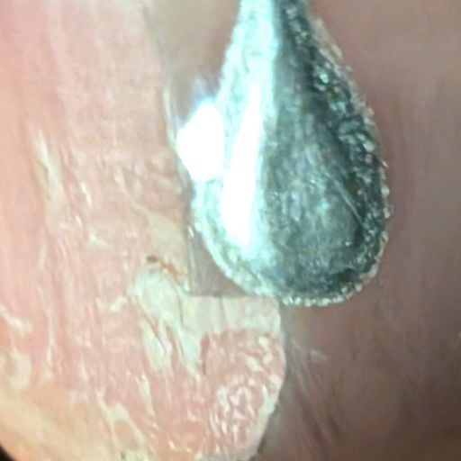 Debt & Refuge - 13th March 2026