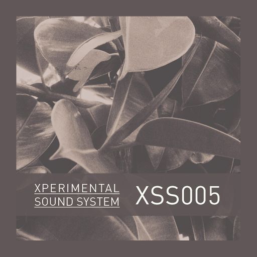 Xperimental Sound System: XSS005 / Cubo