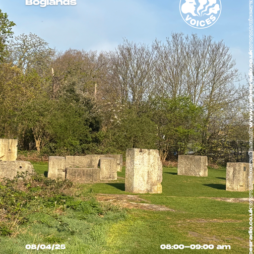 Boglands 08/04/2025 - [Voices Radio]