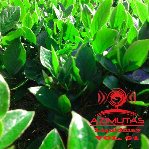 Azimutas vol. 64 Liquidmay (15 05 2011) 