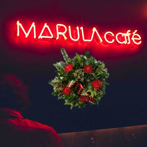 Marula Cafe Barcelona (5-12-24) pt 1