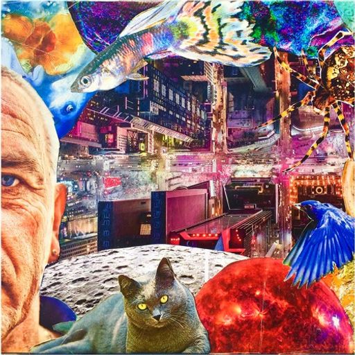 Djanzy - Sunday Sound Collage (Sunday Joint)
