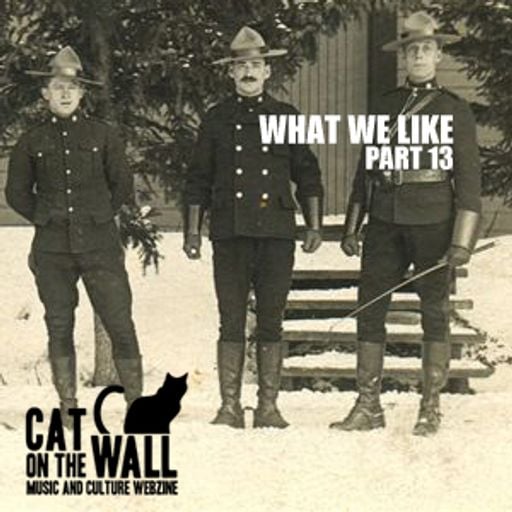What We Like Part 13