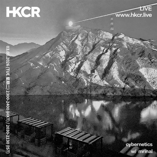 cybernetics w/ mrinal - 03/03/2026