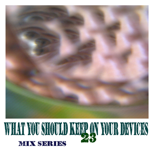 What You Should Keep On Your Devices - Mix Series - No.23. - Triphopoid