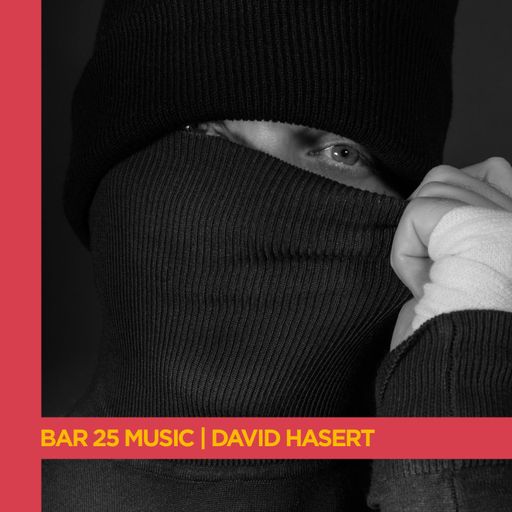 Bar 25 Music Series | David Hasert