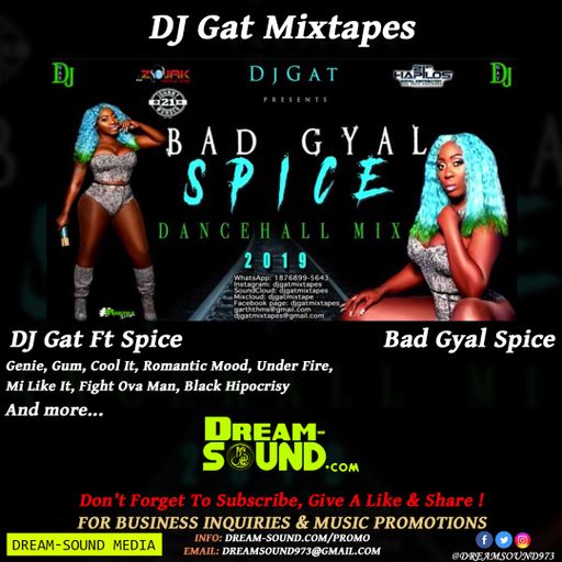 DJ Gat - Bad Gyal Spice (Mixtape)