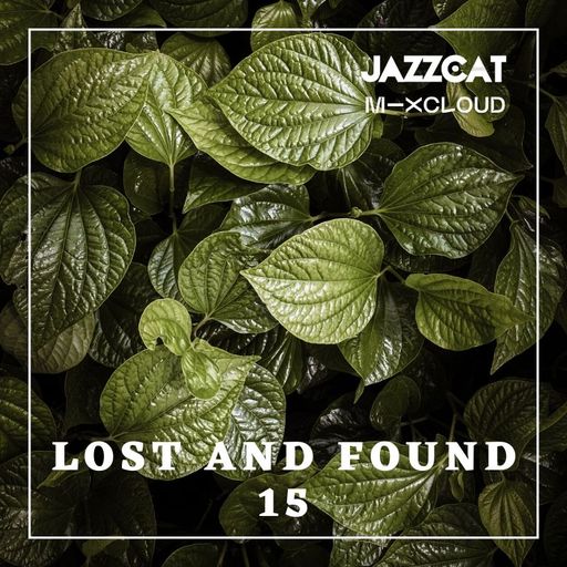 Lost and found 15