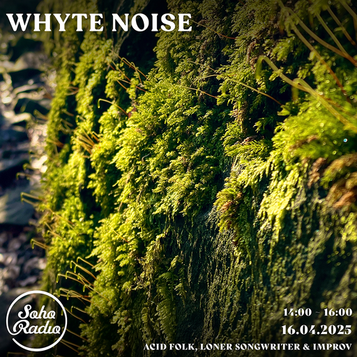 Whyte Noise - The Spring (16/04/2025)