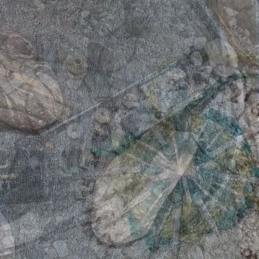 Littoral Transmissions #69 - Water’s Edge With Francesco Costa, Helen Frosi & Tarik Haskic - 22 Oc
