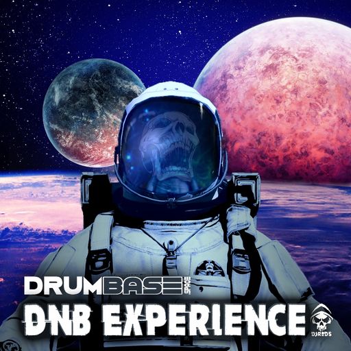 dnb experience 19/02/2022