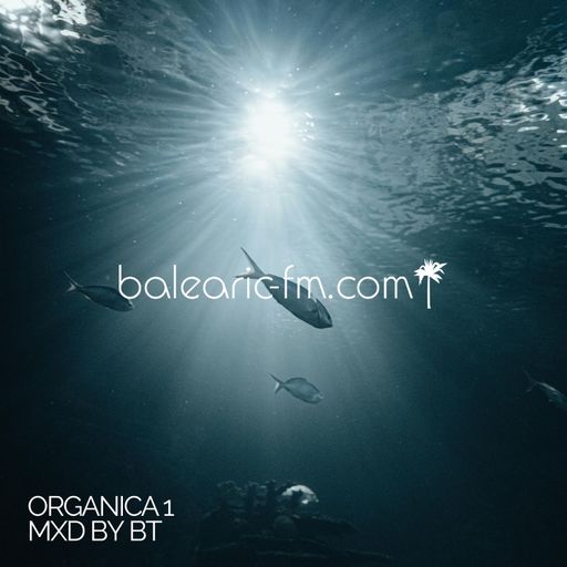 Organic Mix (001) (BigT)