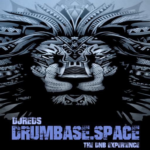 dnb experience 02112019