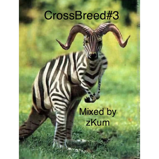 CrossBreed#3