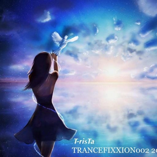 TRANCEFIXXION002 2017