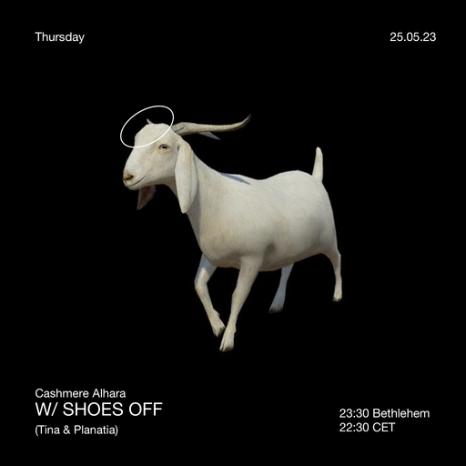 Cashmere Alhara SHOES OFF w/ Tina & Planatia 25.05.2023