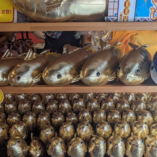 Platos Combinados w/ Joe Cotch - 20th June 2025