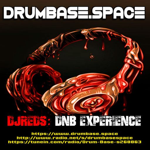 dnb experience 28092109.