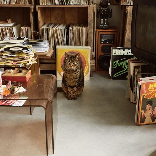 Breakfast Club Coco: Palo Santo Discos // 03-02-26