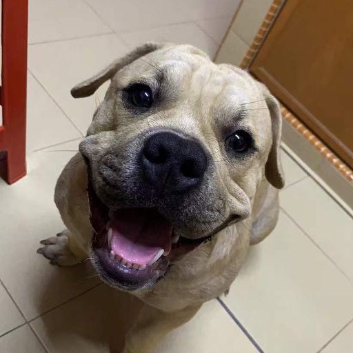 AA专属 v3【在夜里跳舞x鲸落x我好想你x坠x渐冷x错季】DJ Holend Remix