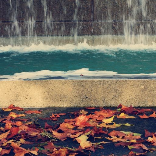 Gistro FM 709 (27/10/19) This Fire of Autumn
