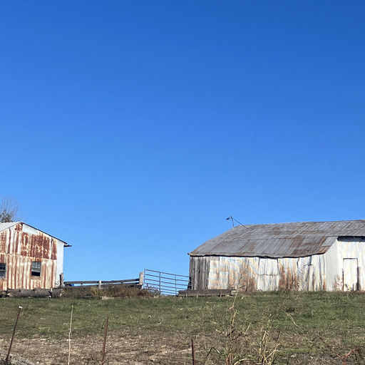 Across the Horizon w/ Bob Holmes (SUSS) - 1st November 2025