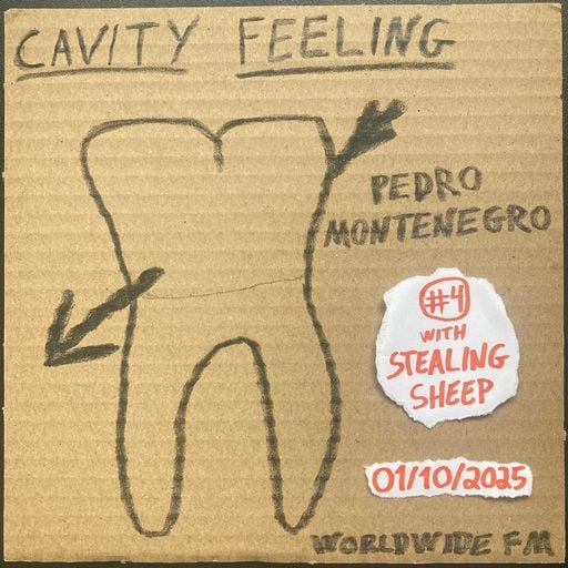 cavity feeling #4: pedro montenegro w/ Stealing Sheep // 01-10-2025