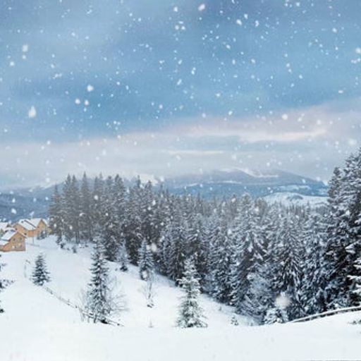 The Folk Connection #71 -A Winter Wonderland Dec 22 2025