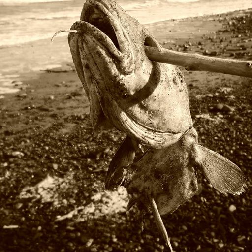 Industrial Coast X KK Junker - December 2023