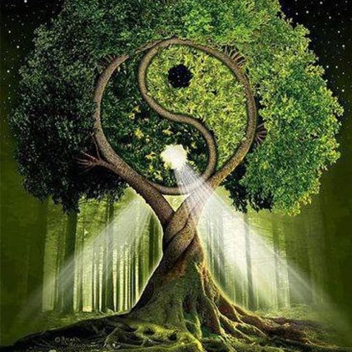 Return To Source