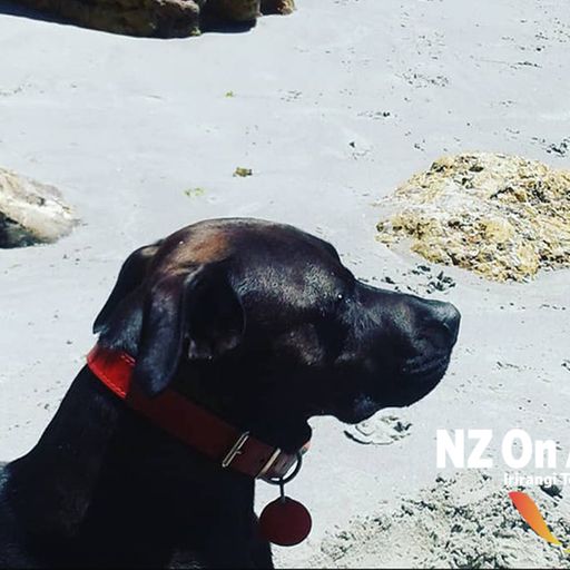 Recharted 11 - The Shifting Sands - Thanks to NZ On Air Music