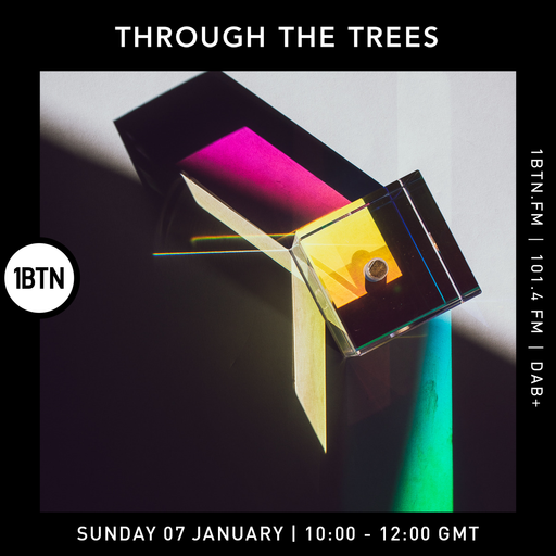 Ty : Through The Trees - 07.01.24